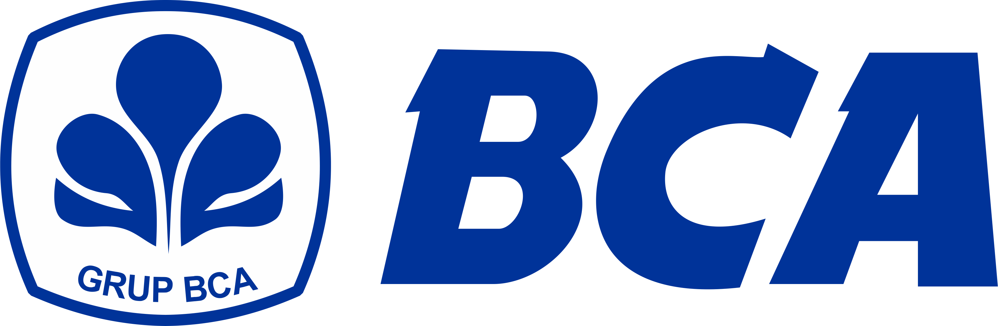 QR Bank Central Asia (BCA)
